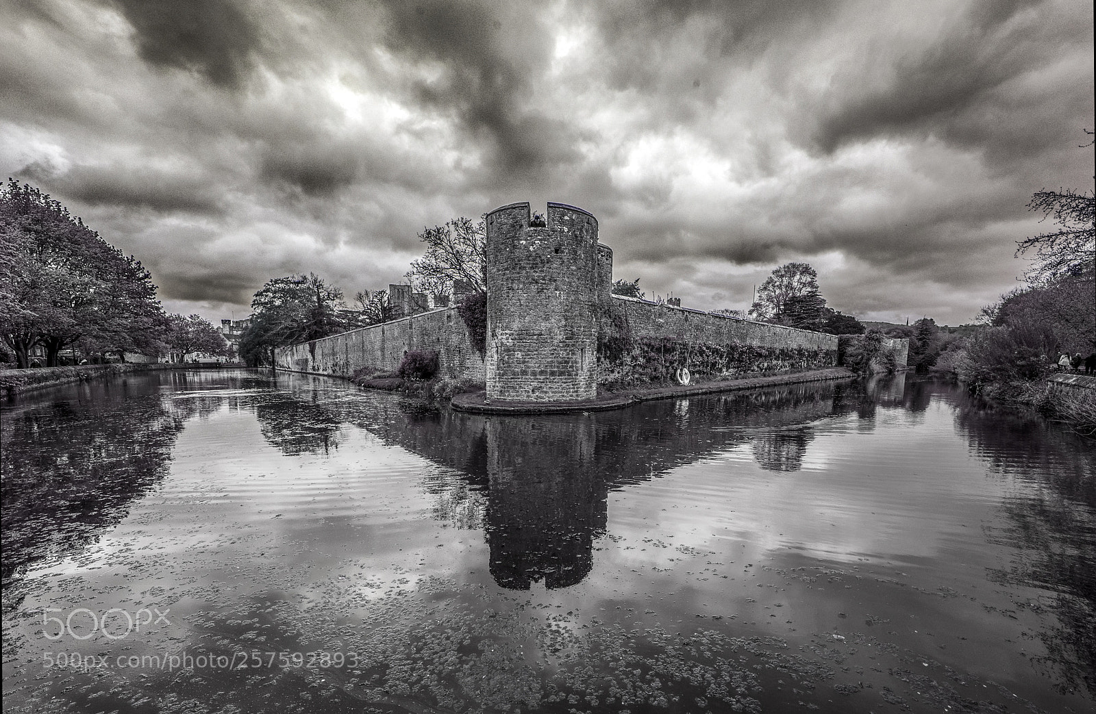 Nikon D610 sample photo. Bishop's palace iii photography