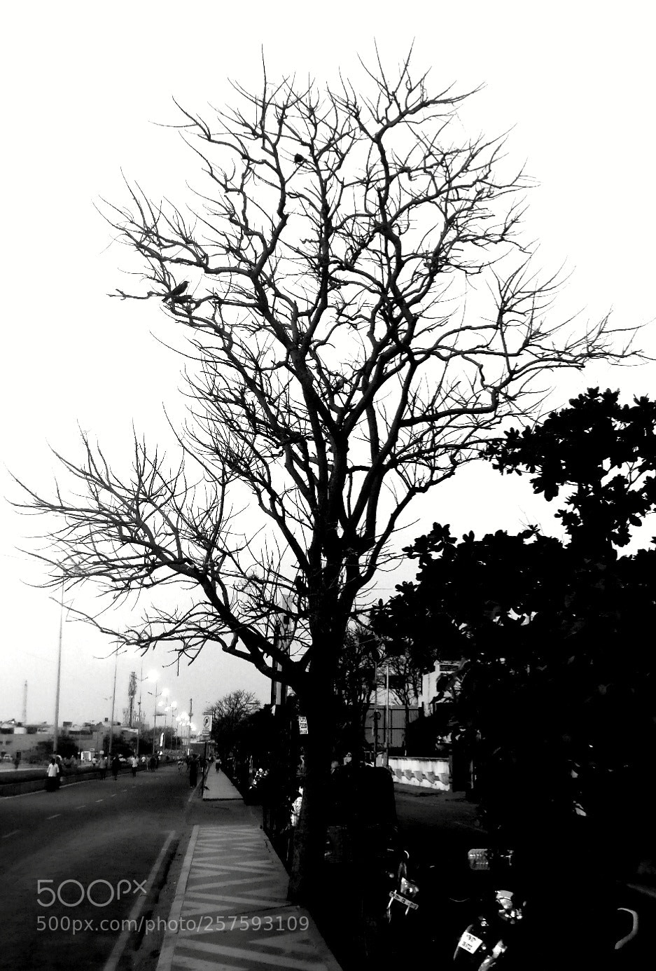 OnePlus A3003 sample photo. Standing high and dry photography