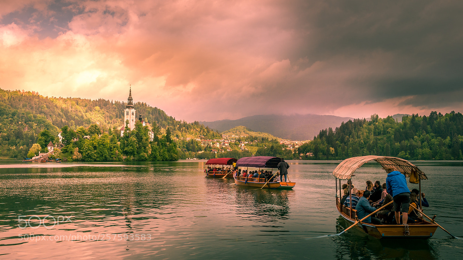 Nikon D4 sample photo. Bled photography