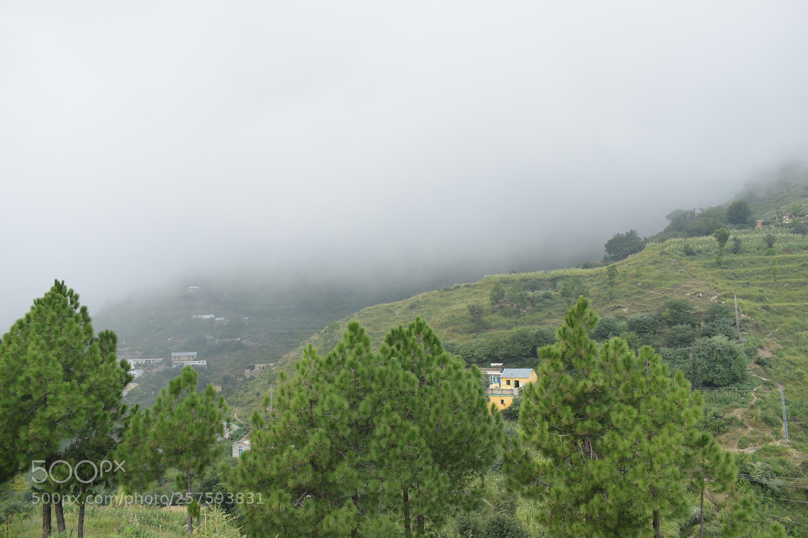 Nikon D5300 sample photo. Dsc photography