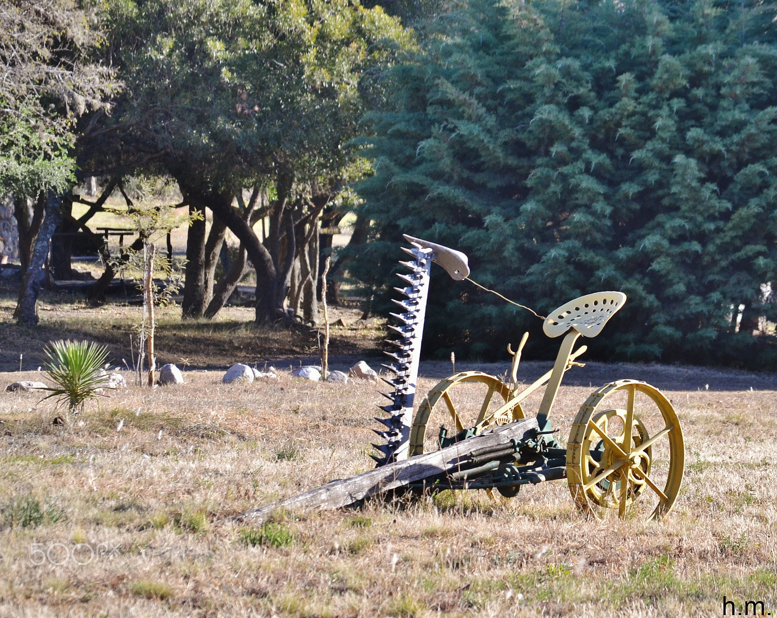 Nikon D3100 sample photo. Herramientas de campo photography
