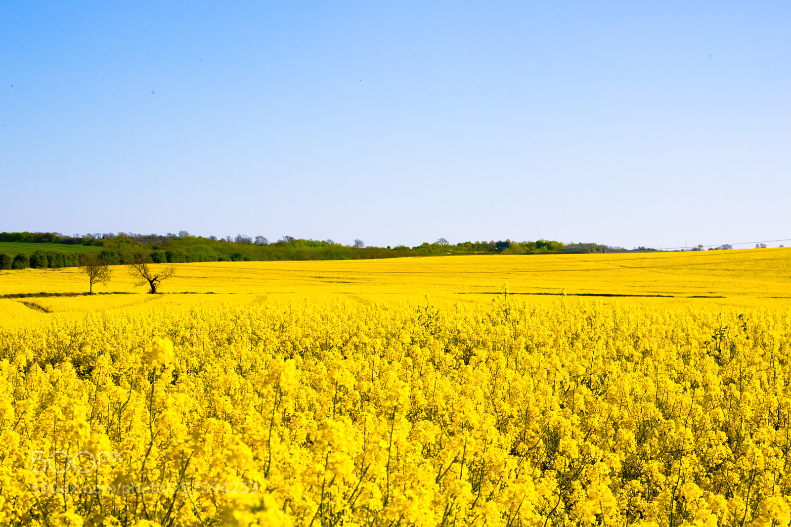 Canon EOS 750D (EOS Rebel T6i / EOS Kiss X8i) sample photo. . countryside photography