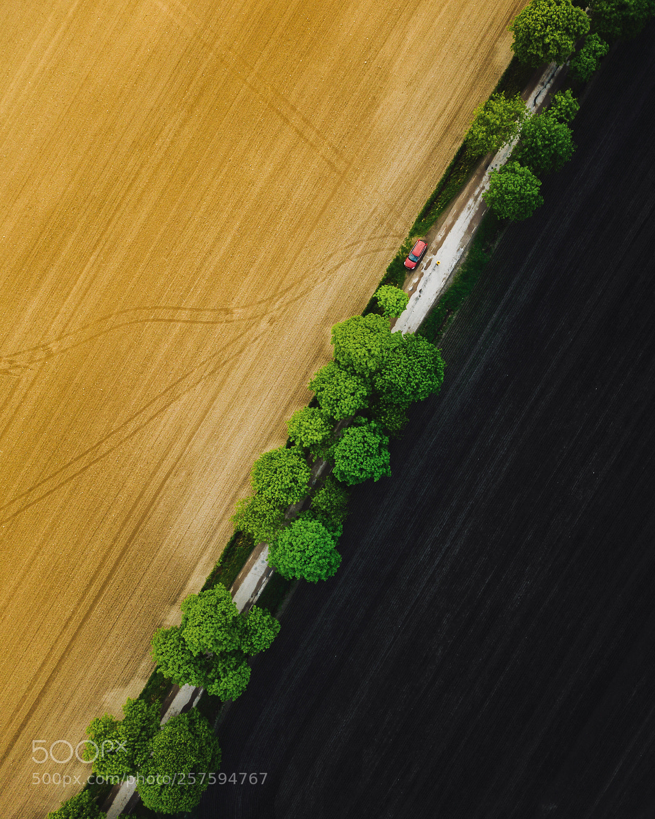 DJI FC220 sample photo. Broccoli season  photography