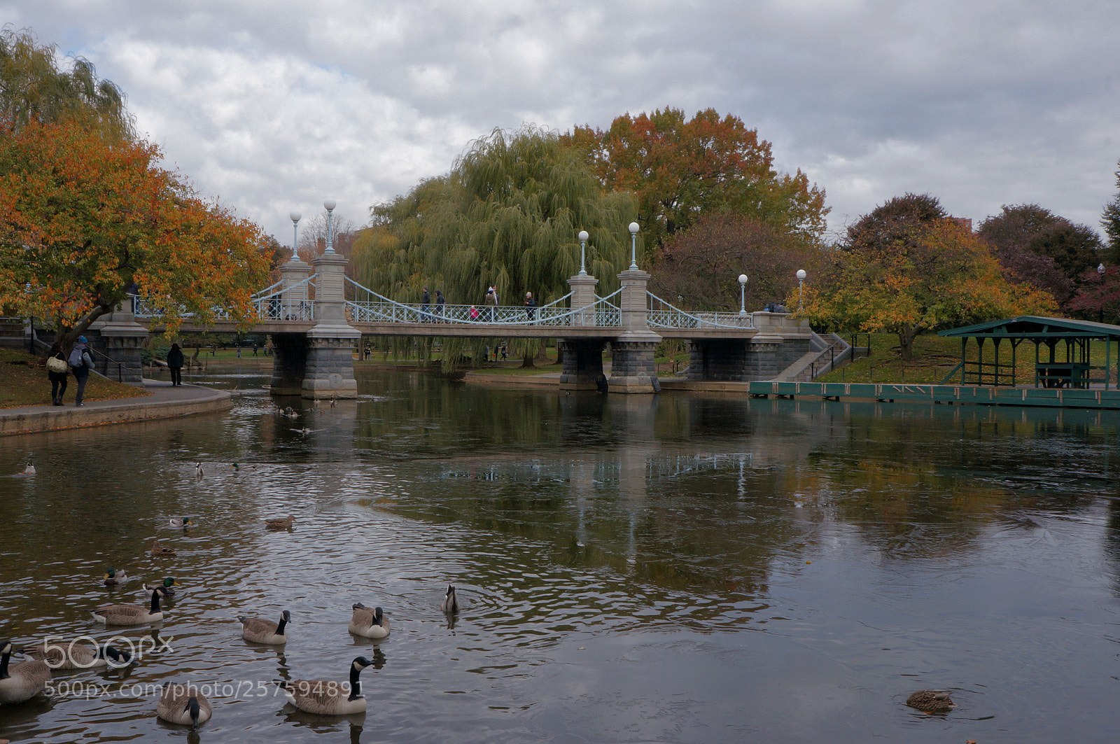 Sony Alpha NEX-5N sample photo. A quite spot photography