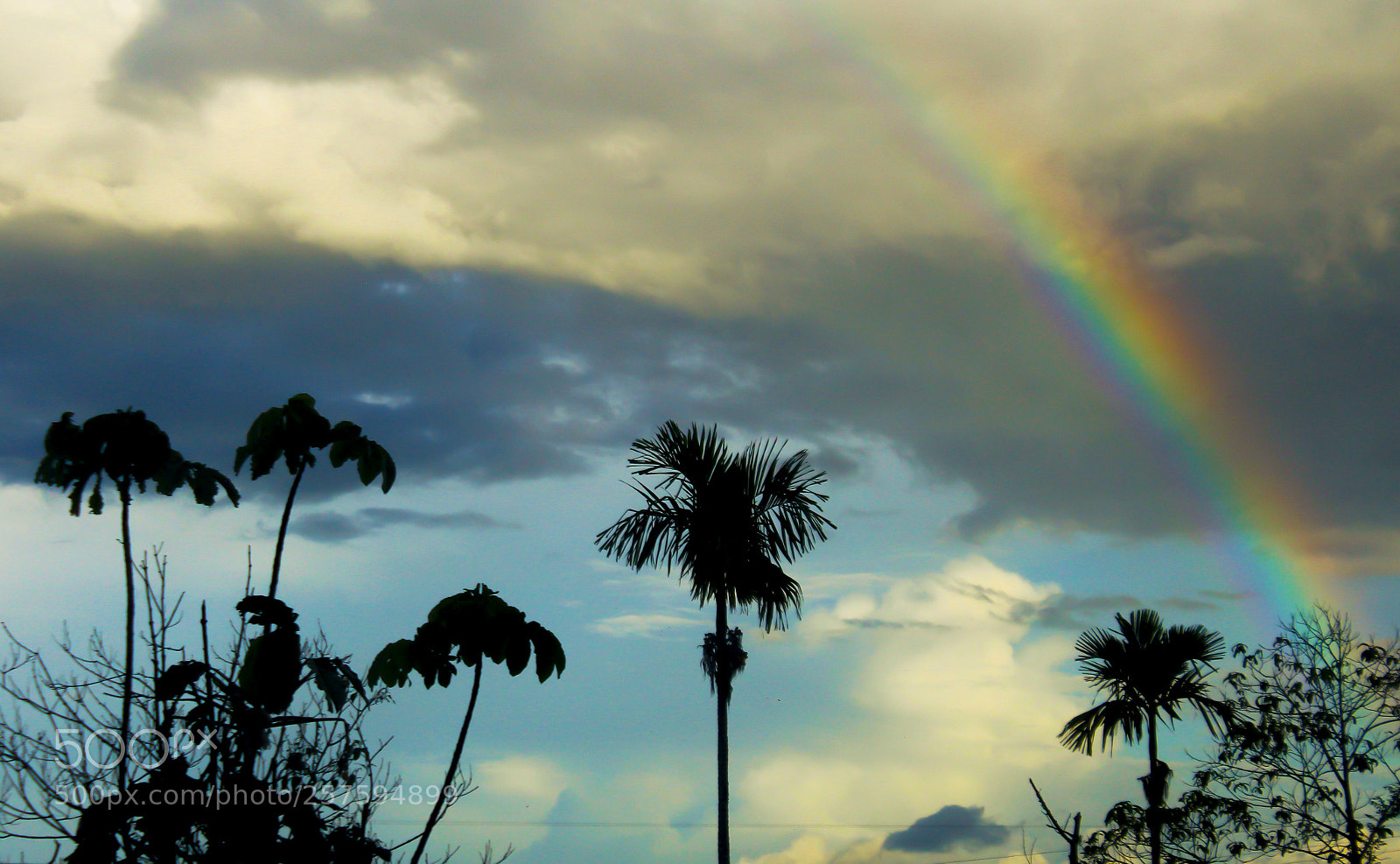 Canon EOS 1200D (EOS Rebel T5 / EOS Kiss X70 / EOS Hi) sample photo. Arco iris llanero photography