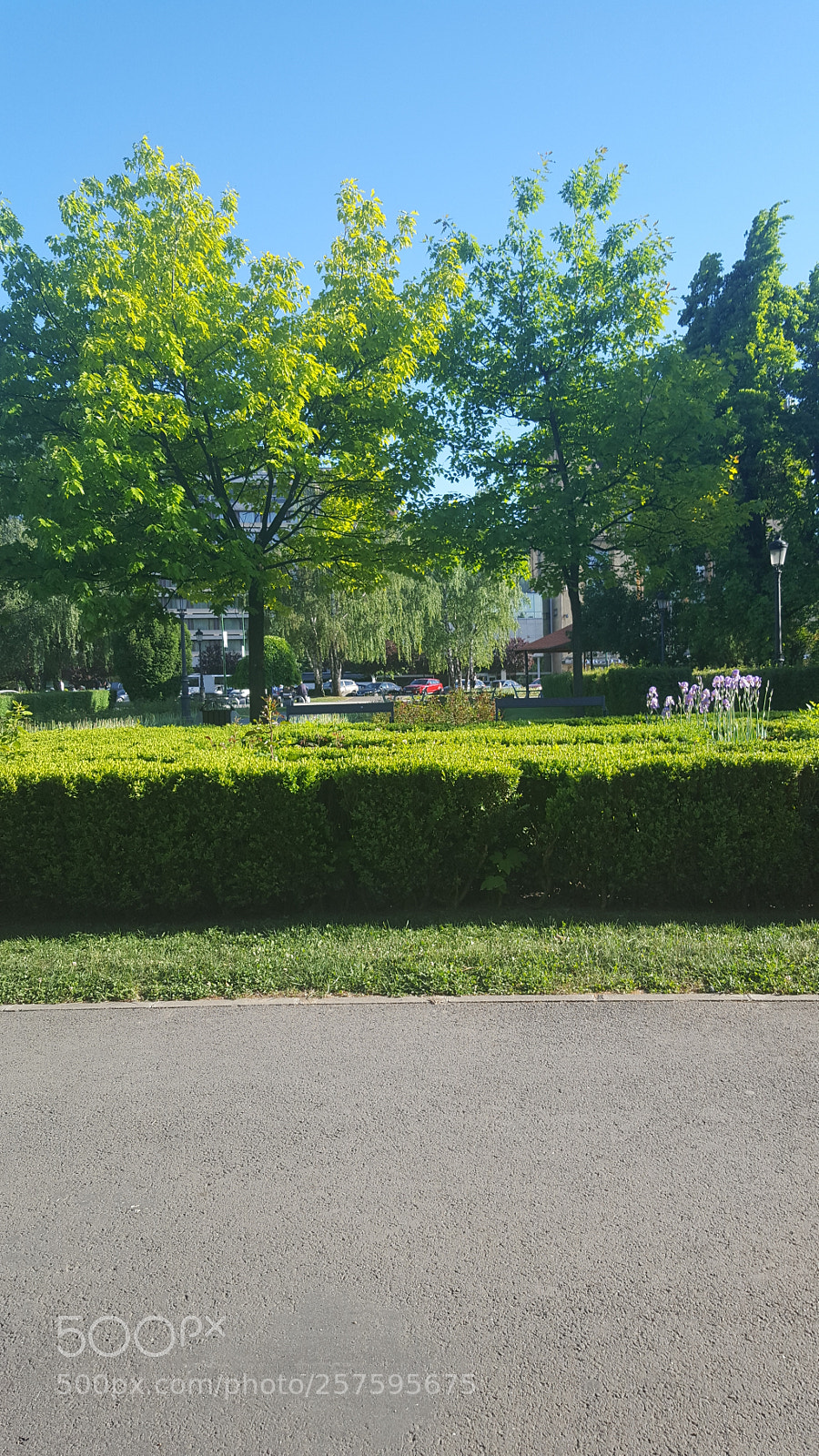 Samsung GALAXY S6 edge sample photo. Untitled photography