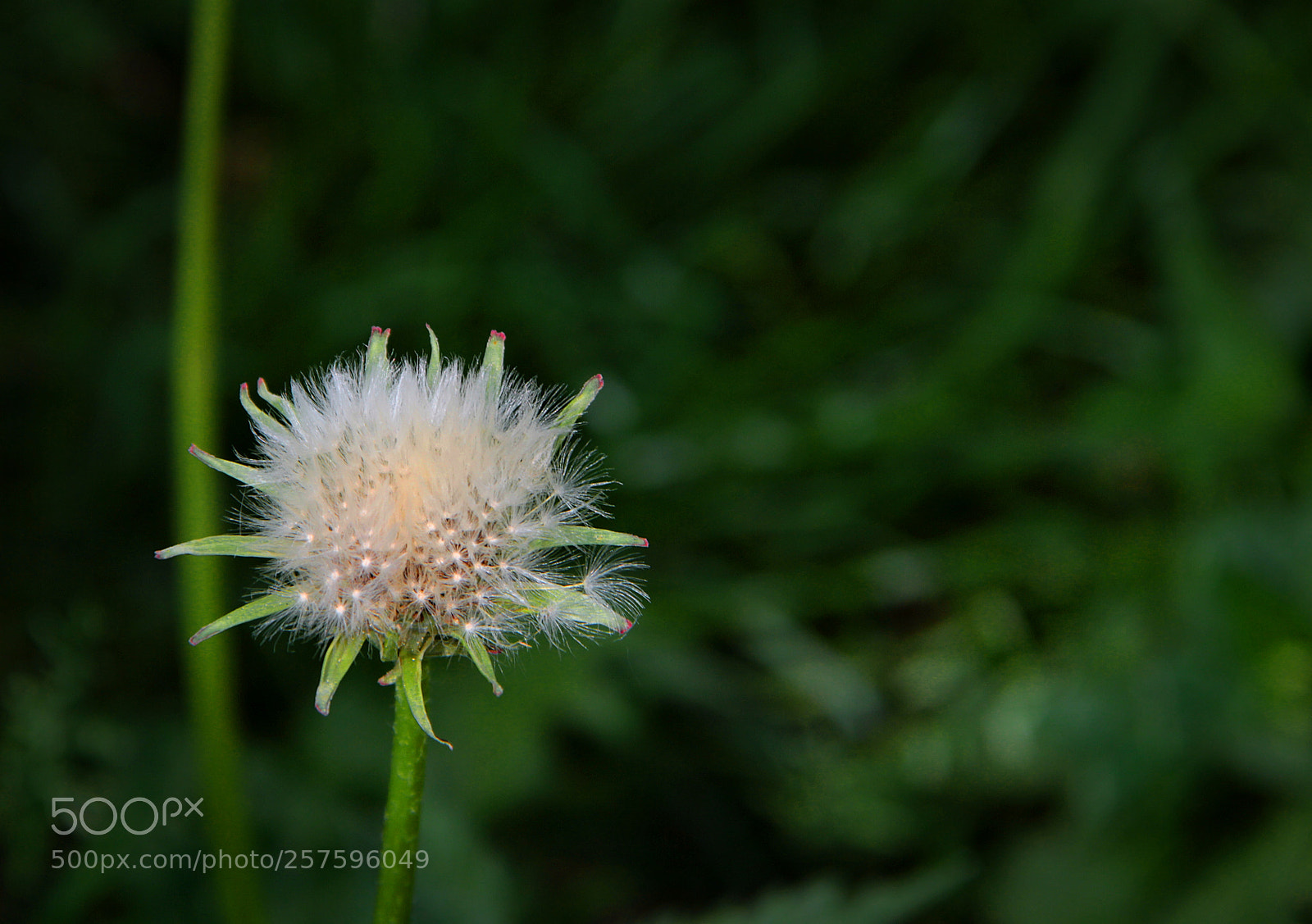 Canon EOS 600D (Rebel EOS T3i / EOS Kiss X5) sample photo. Change photography