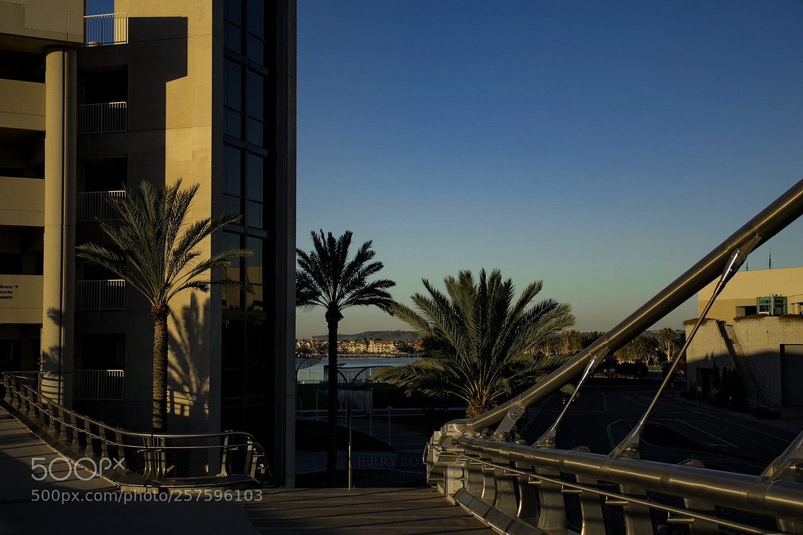 Nikon D3300 sample photo. Harbor island pedestrian bridge photography