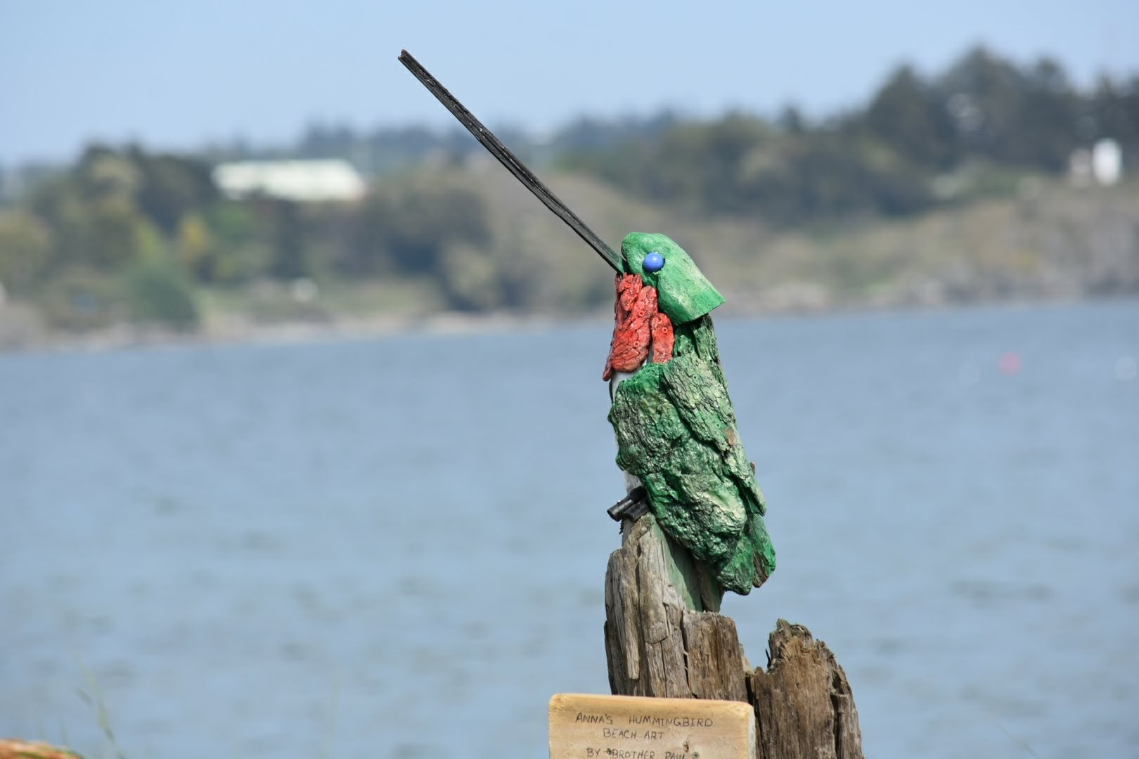 Nikon D3400 sample photo. Calling for mercy photography
