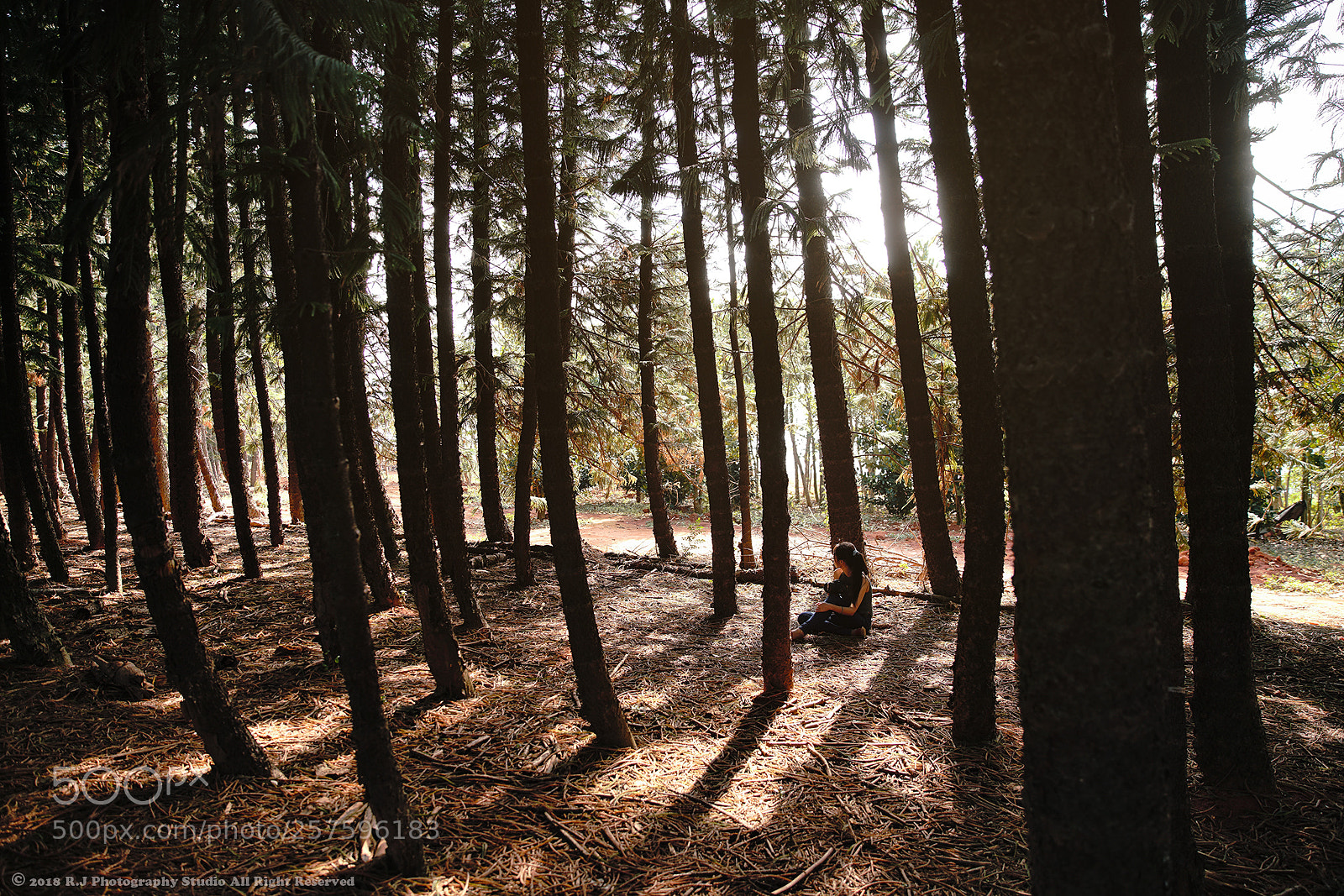 Sony a7R II sample photo. 【light and shadow】 photography