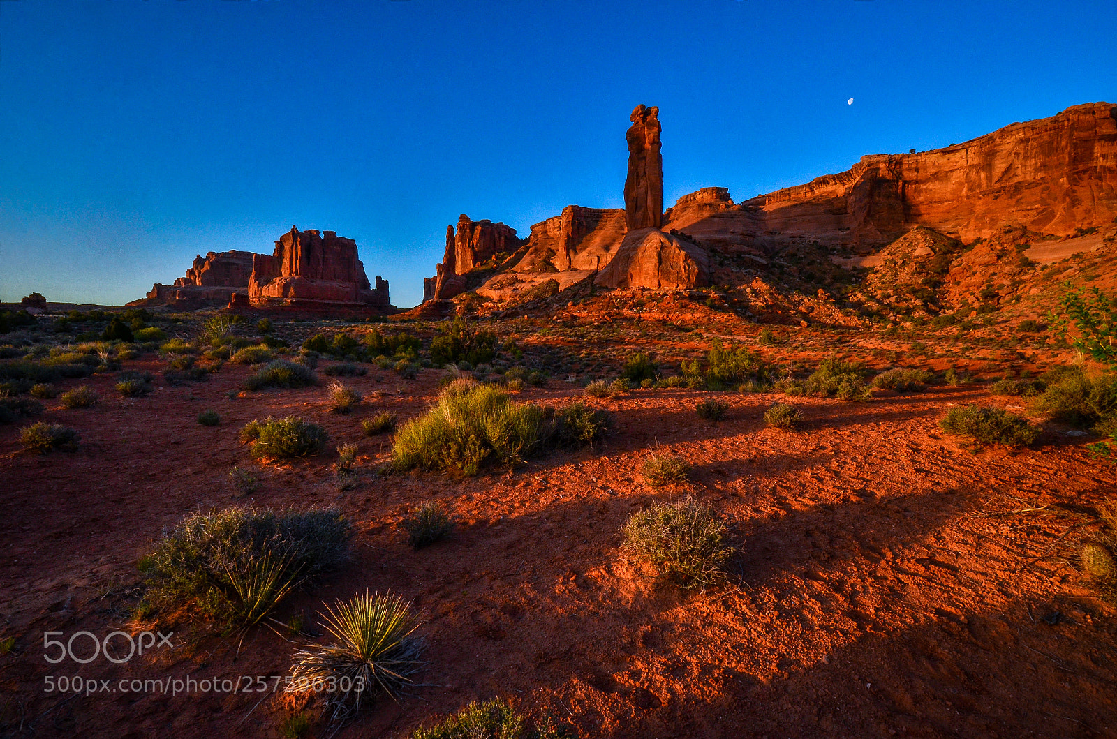Nikon D7000 sample photo. A southwest desert sunrise photography
