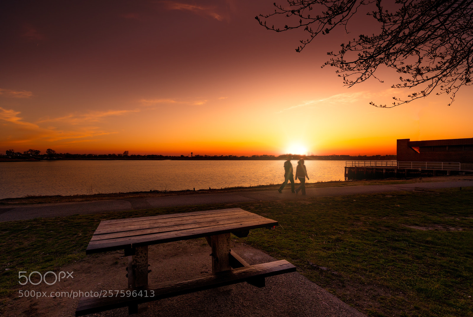 Nikon D850 sample photo. Spotlight walk photography