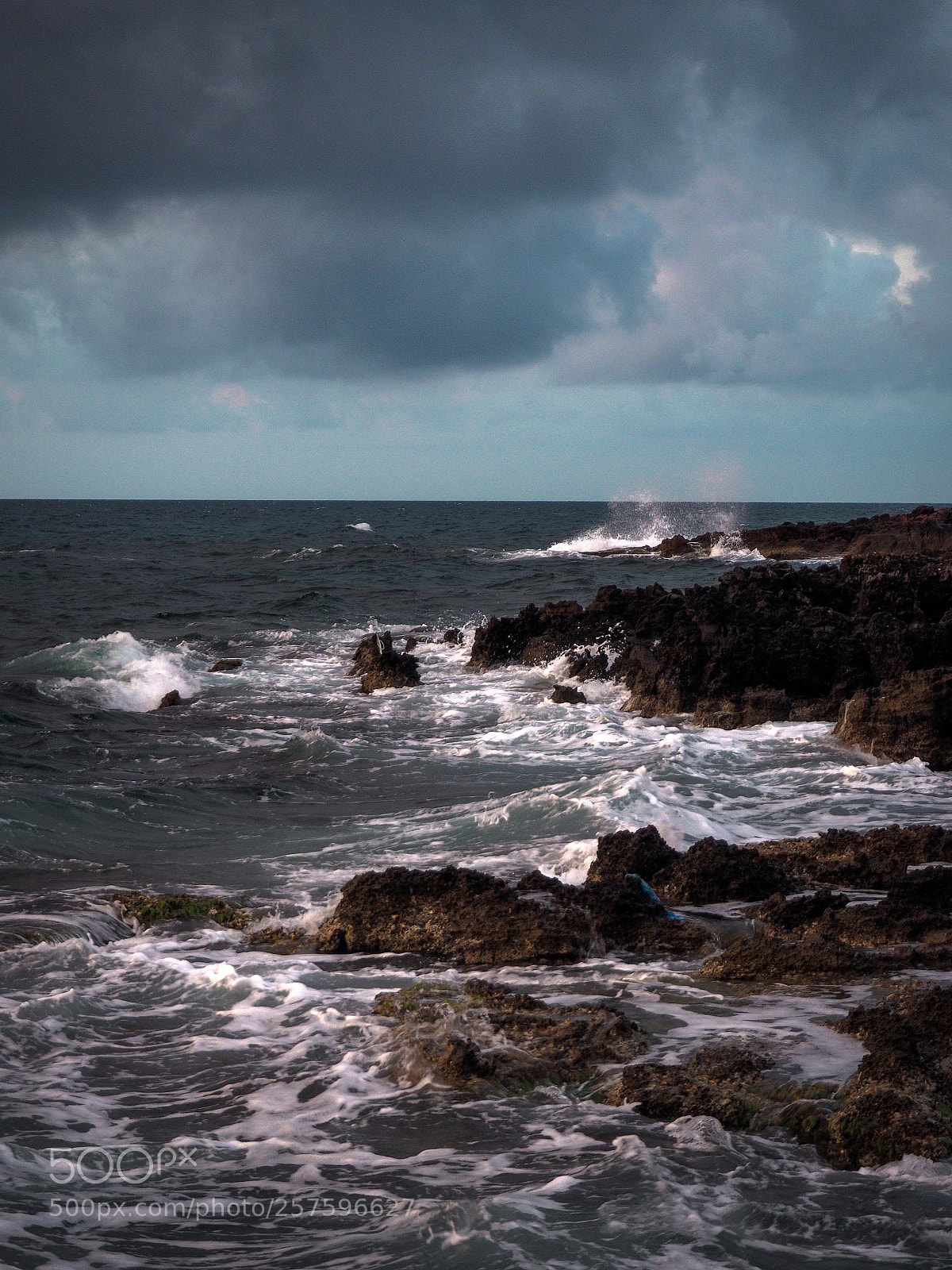 Olympus OM-D E-M10 II sample photo. *** photography