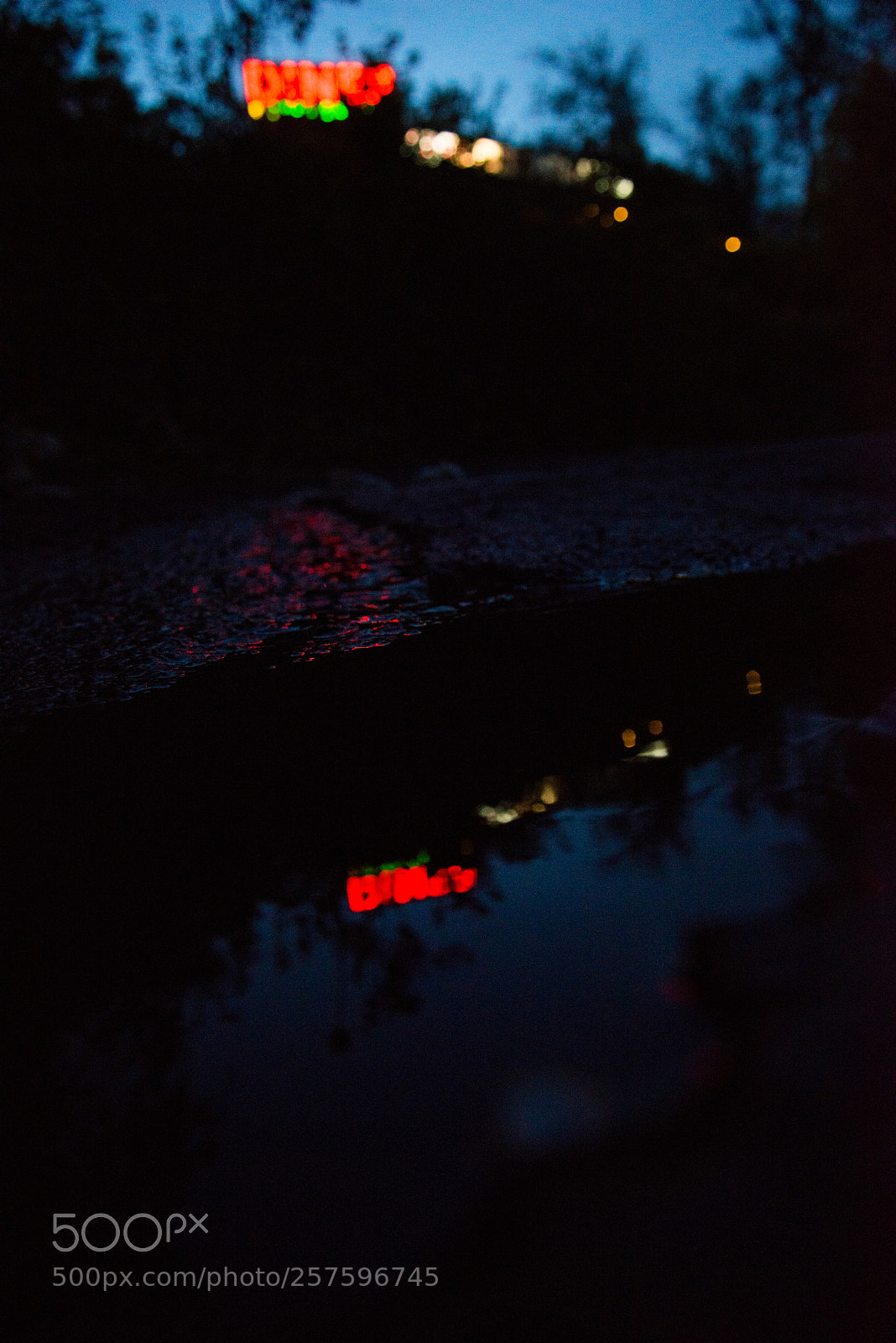 Nikon D800 sample photo. Diner reflection photography