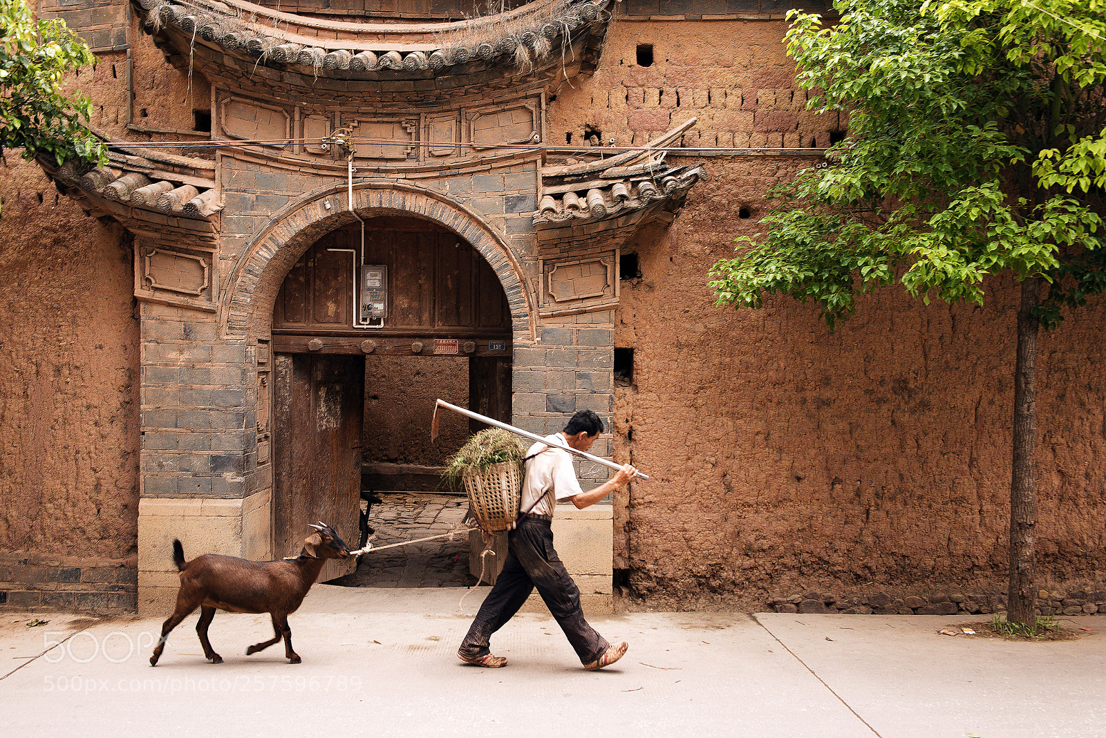 Nikon D800 sample photo. Yunnan farmer and goat photography
