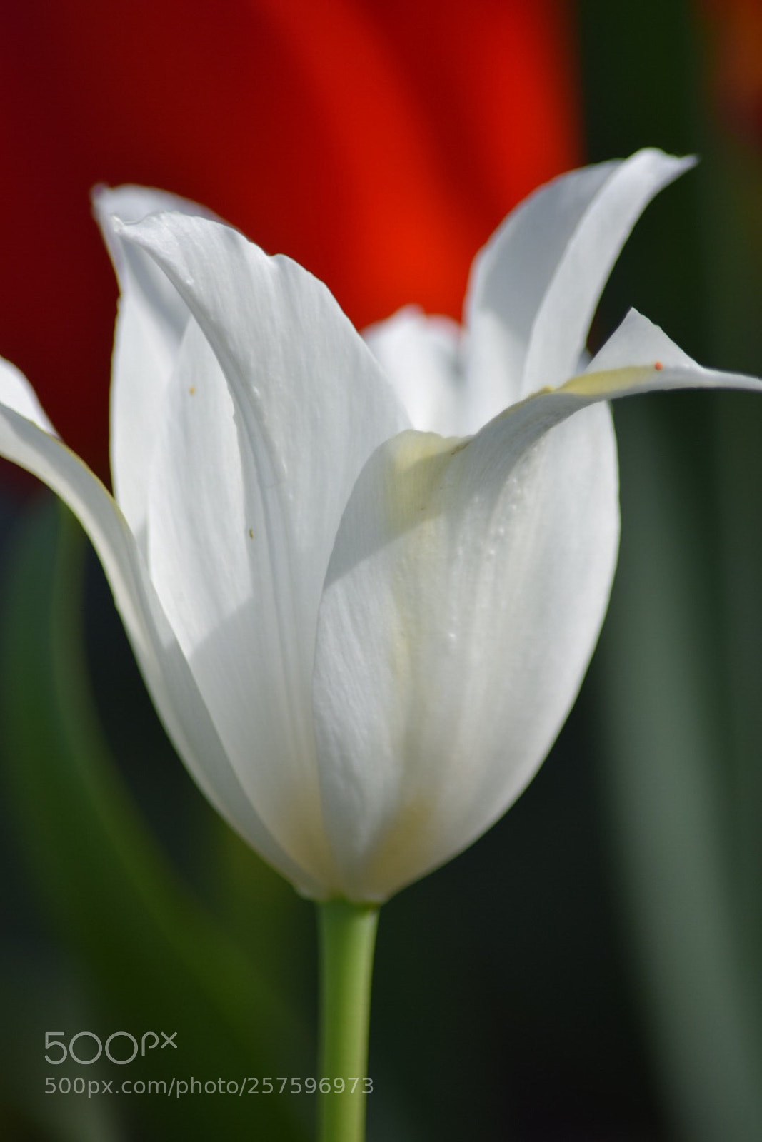 Nikon D5300 sample photo. Untitled photography