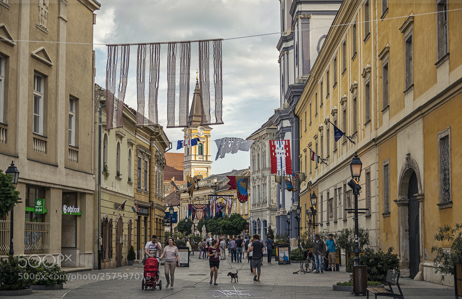 Nikon D5300 sample photo. Art festival flags photography
