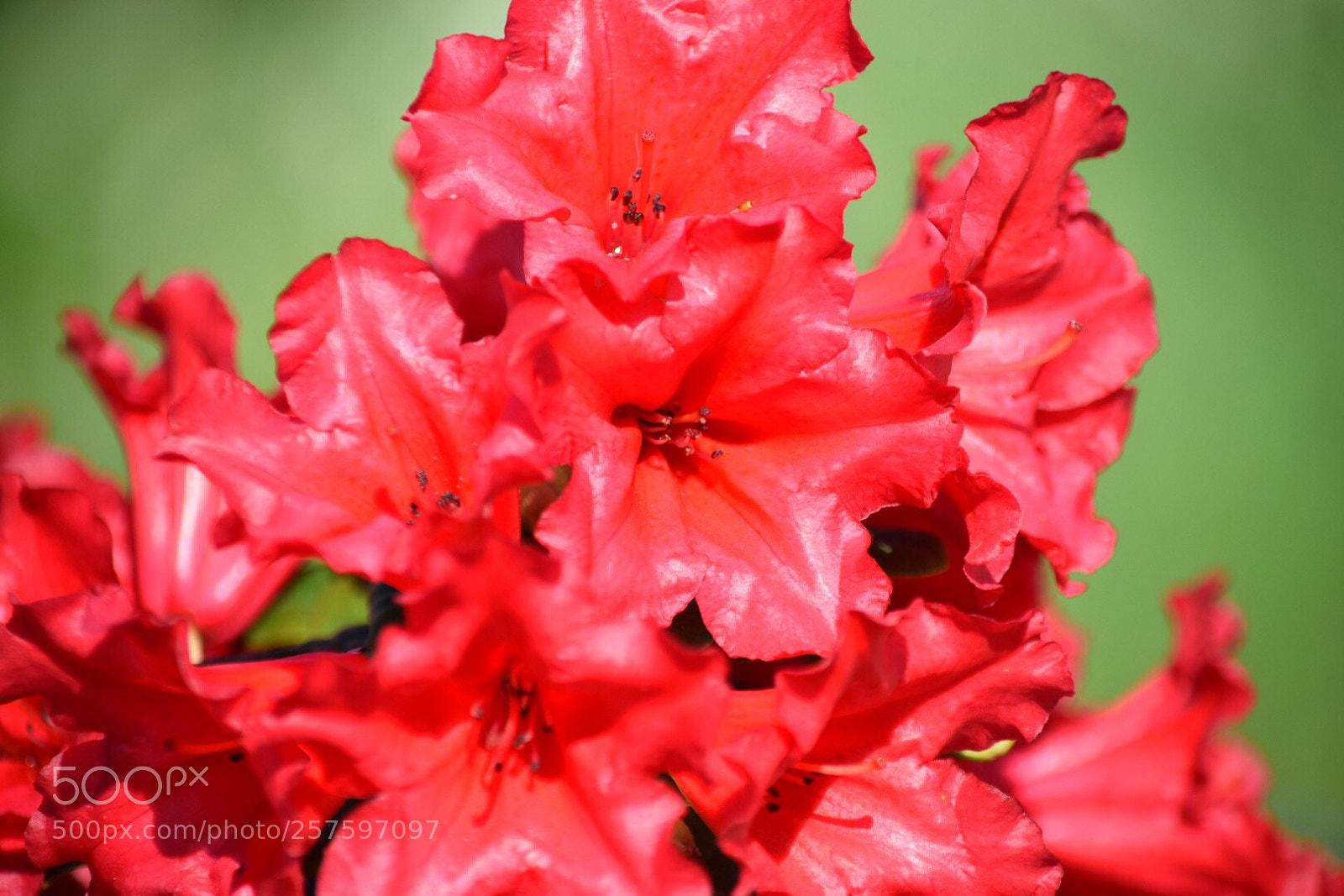 Nikon D5300 sample photo. Untitled photography