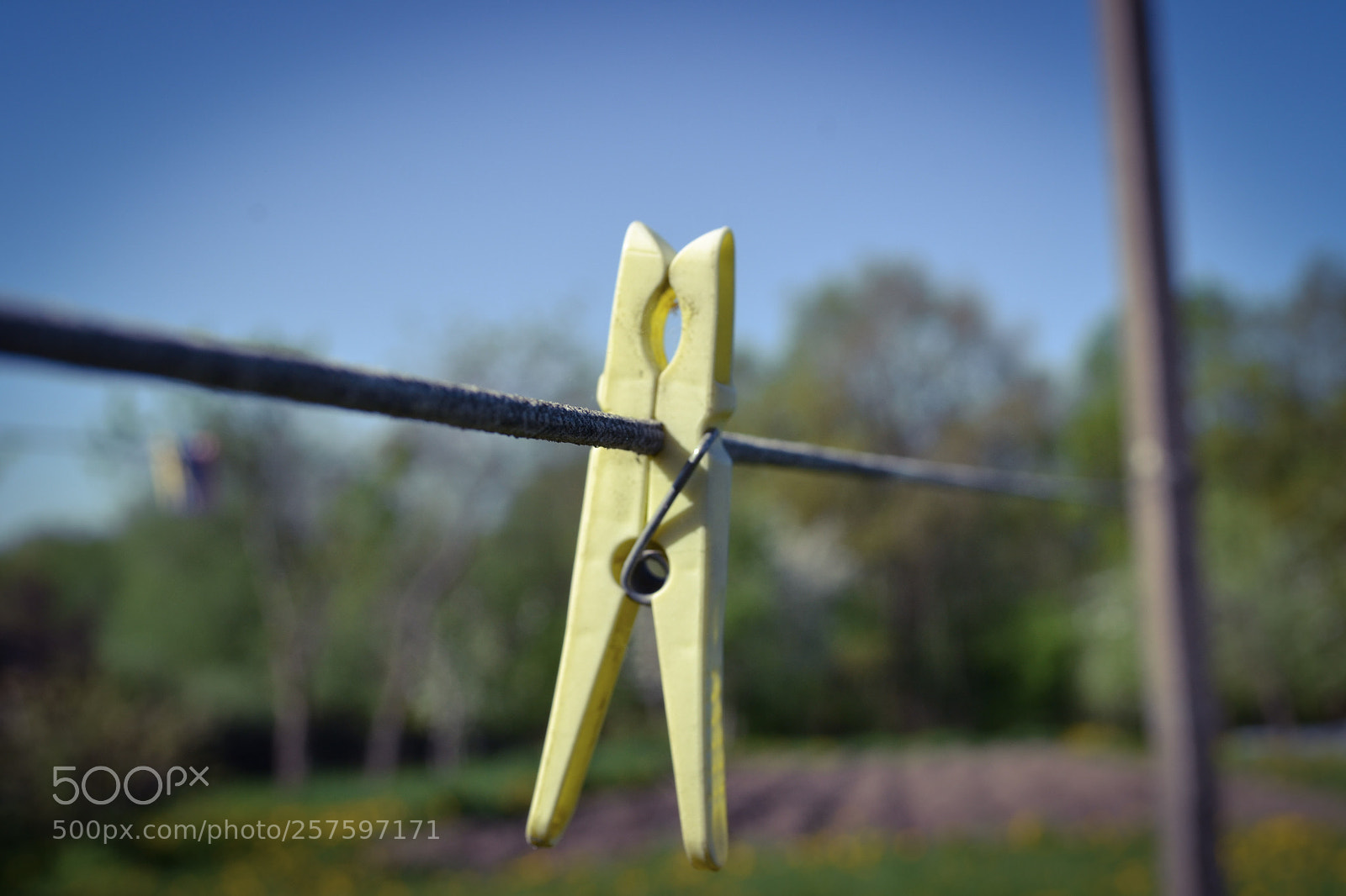 Nikon D3100 sample photo. Laundry pin photography
