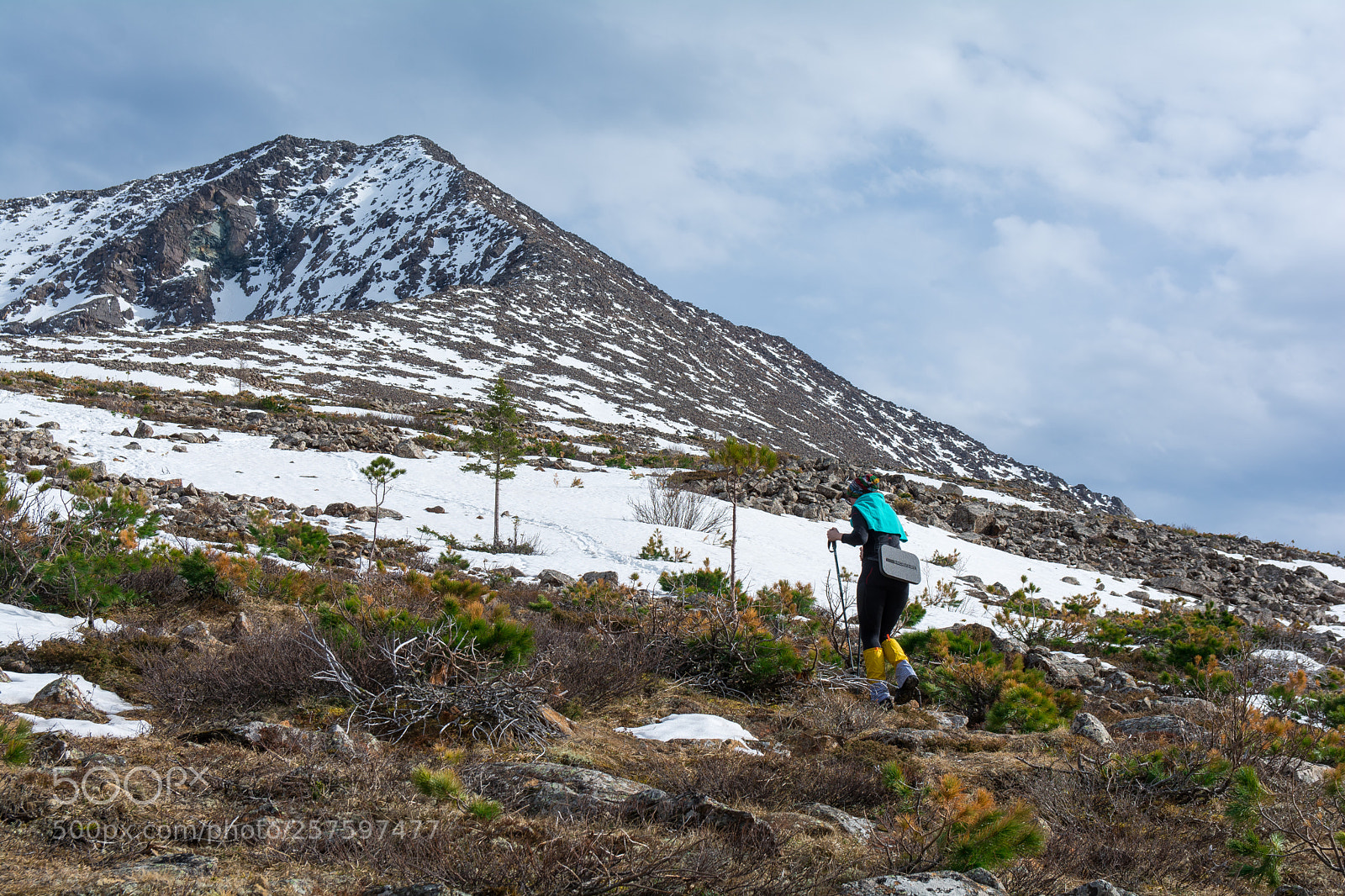 Nikon D7100 sample photo. Motivation photography