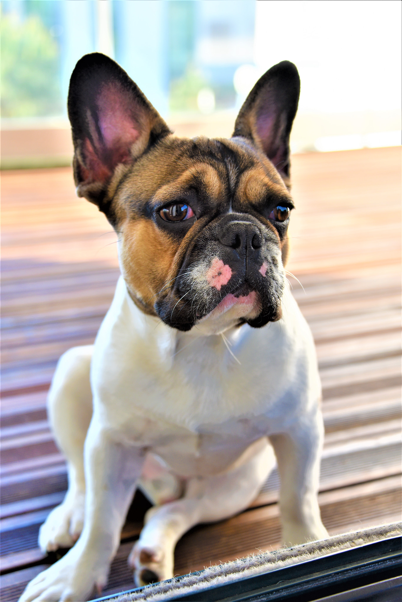 Nikon D750 sample photo. Dsc photography