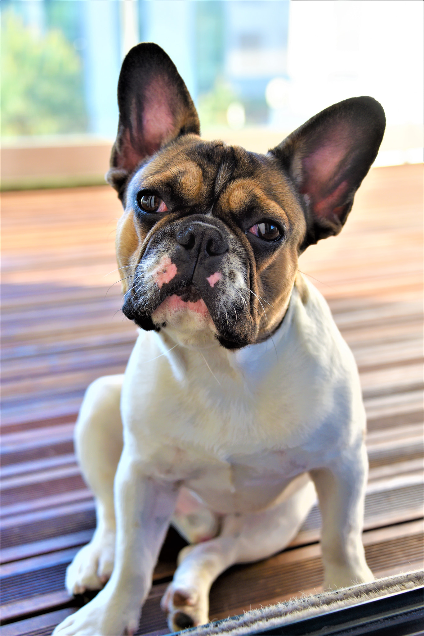Nikon D750 sample photo. Dsc photography