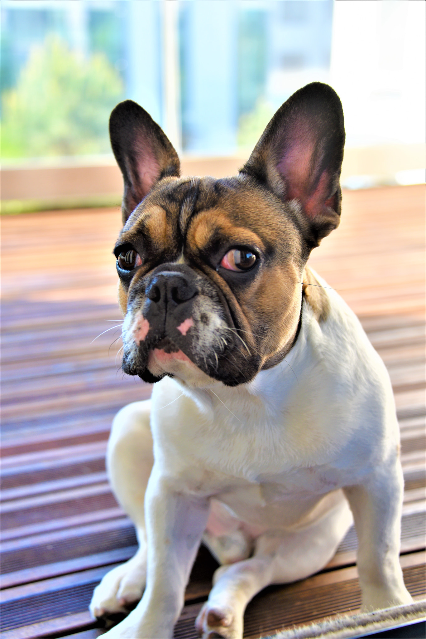Nikon D750 sample photo. Dsc photography