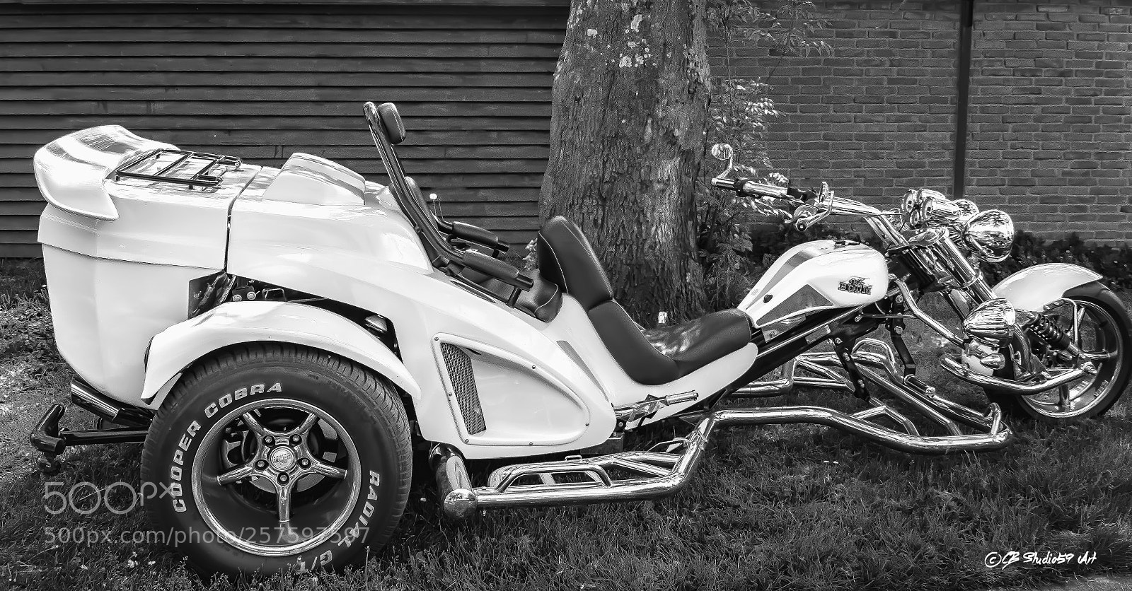 Canon EOS 700D (EOS Rebel T5i / EOS Kiss X7i) sample photo. ''trikes" photography