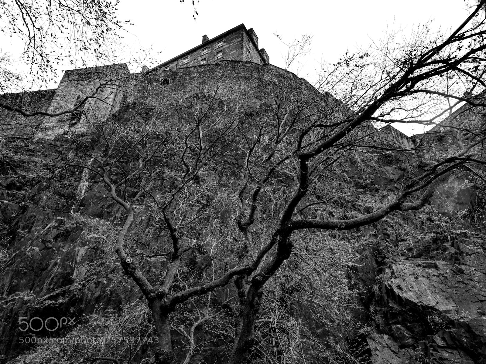 Olympus OM-D E-M5 sample photo. Castle above photography
