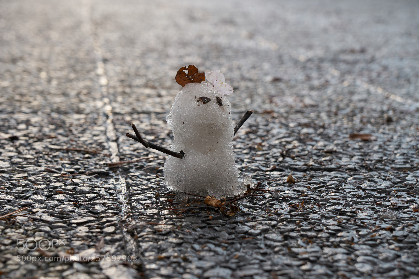 Sony a6300 sample photo. Snowman in the spring photography