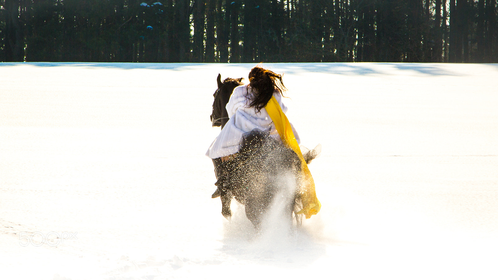 Canon EOS 60D sample photo. Fit photography