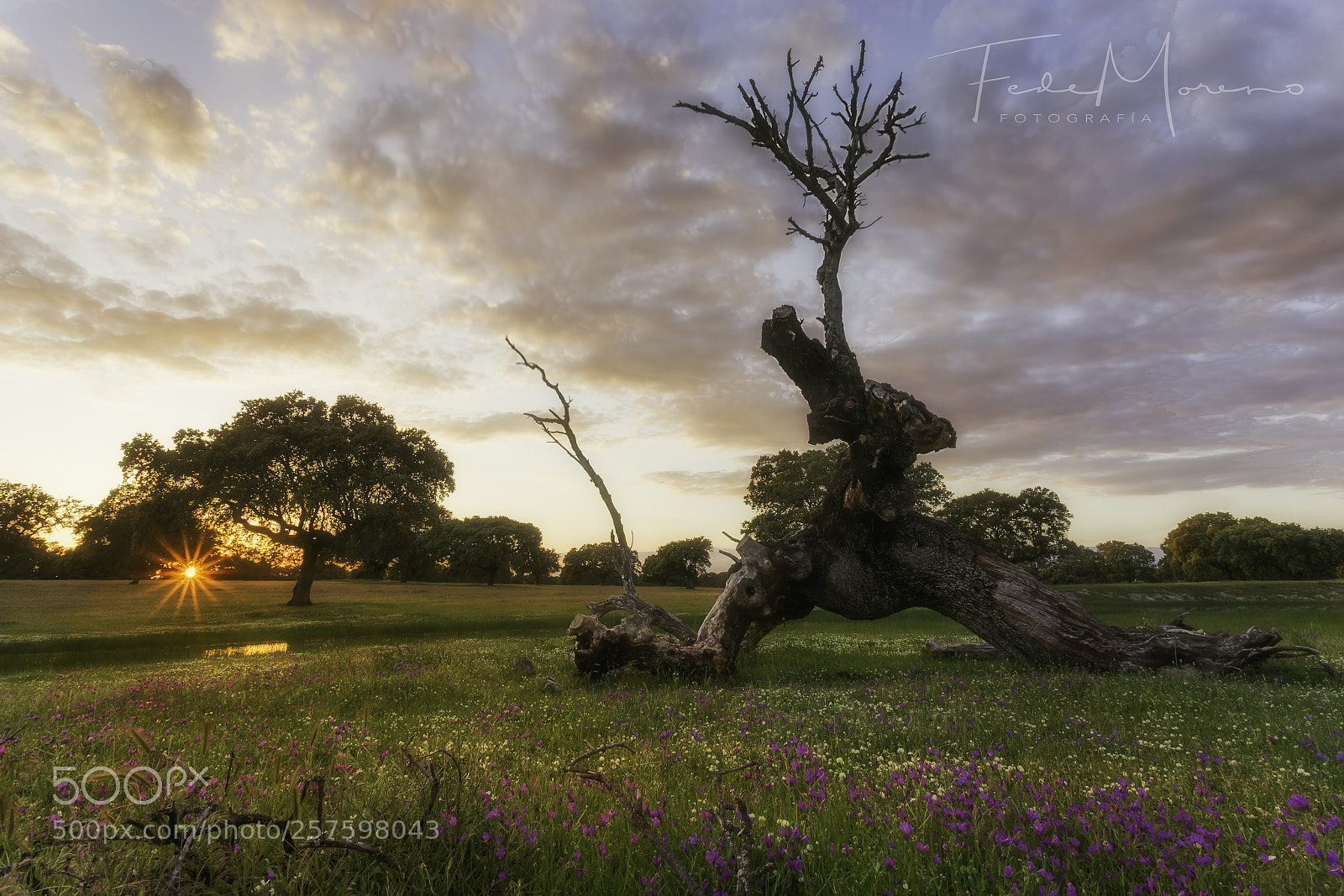 Canon EOS 6D sample photo. Atardecer en extremadura photography