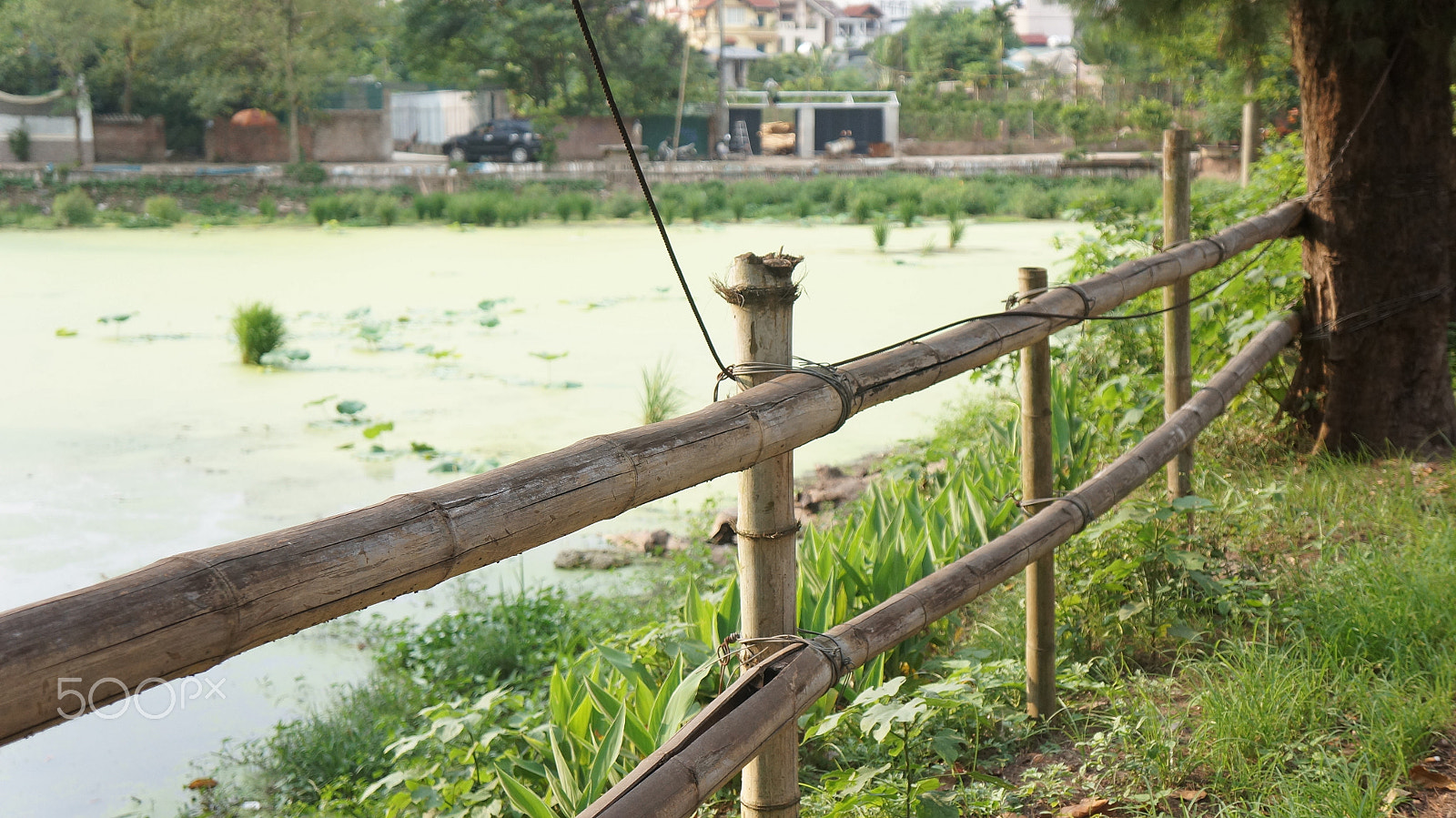 Sony E 18-55mm F3.5-5.6 OSS sample photo. West lake, again photography