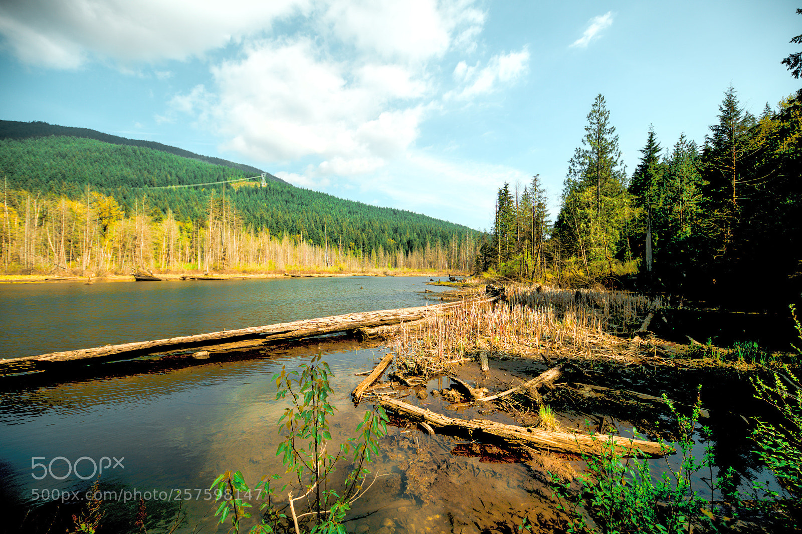 Nikon D850 sample photo. Lower buntzen lake photography