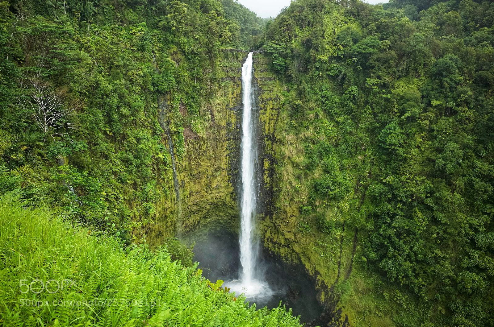 Ricoh GR II sample photo. Akaka falls photography
