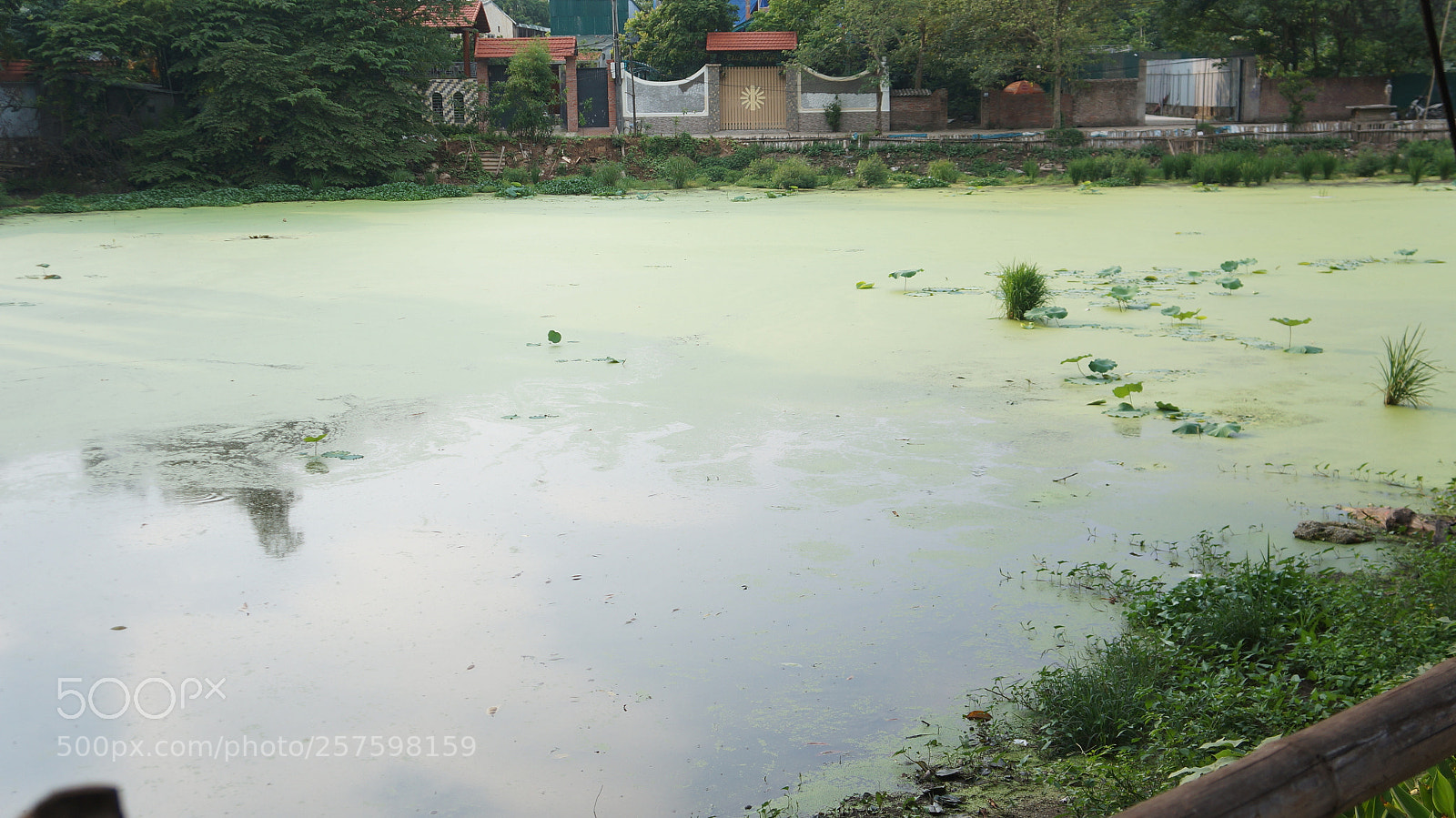 Sony Alpha NEX-5N sample photo. West lake, again photography