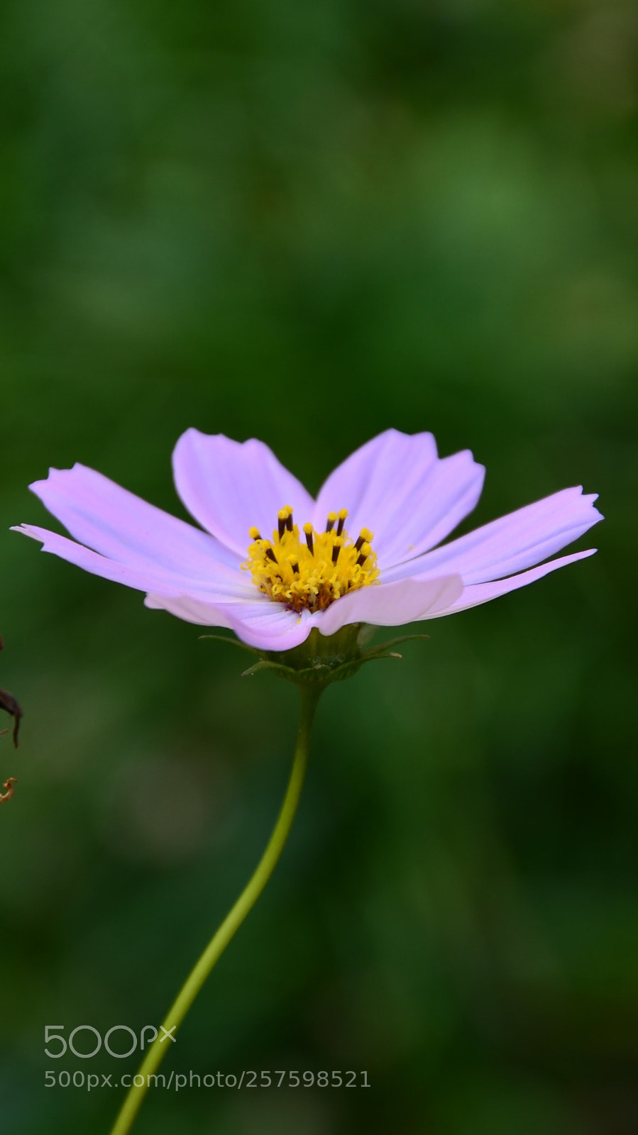 Nikon D5100 sample photo. Gg. photography