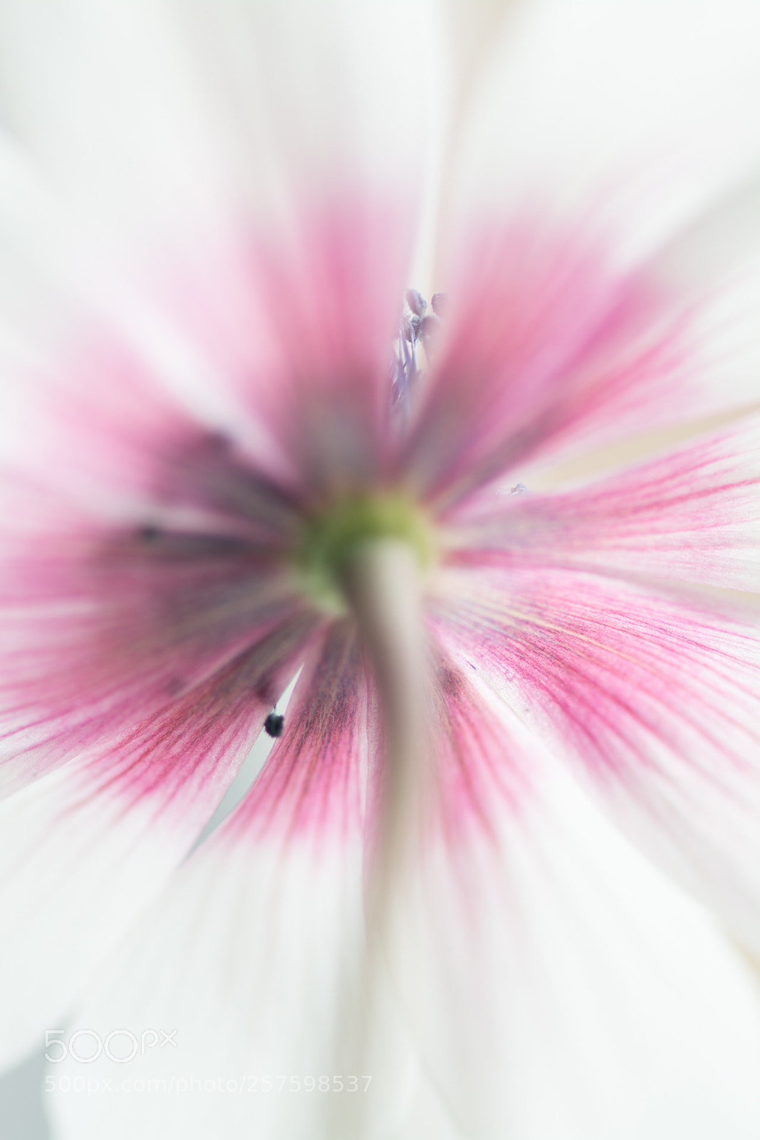 Nikon D7100 sample photo. The other side photography