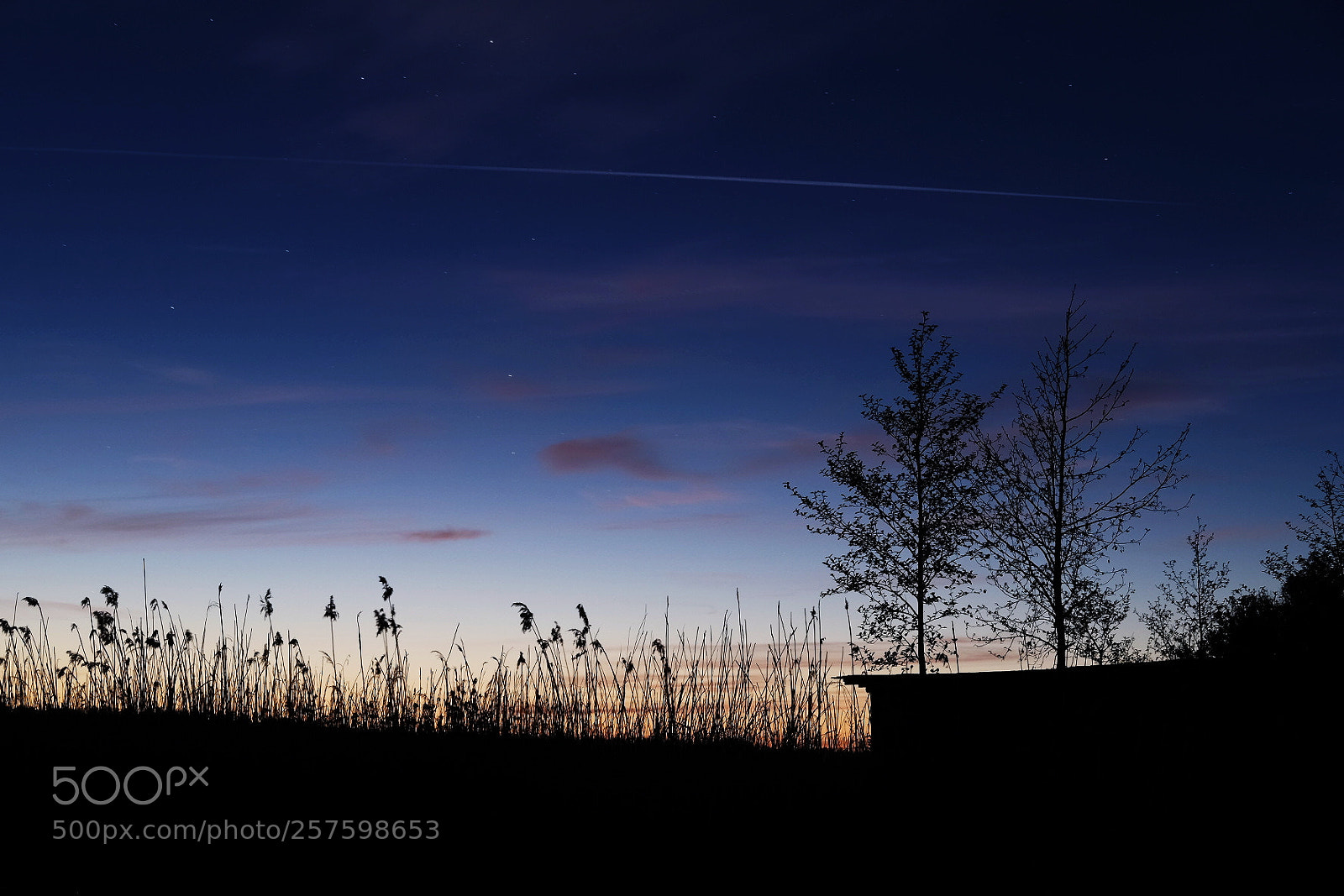 Fujifilm X-T1 sample photo. White night photography