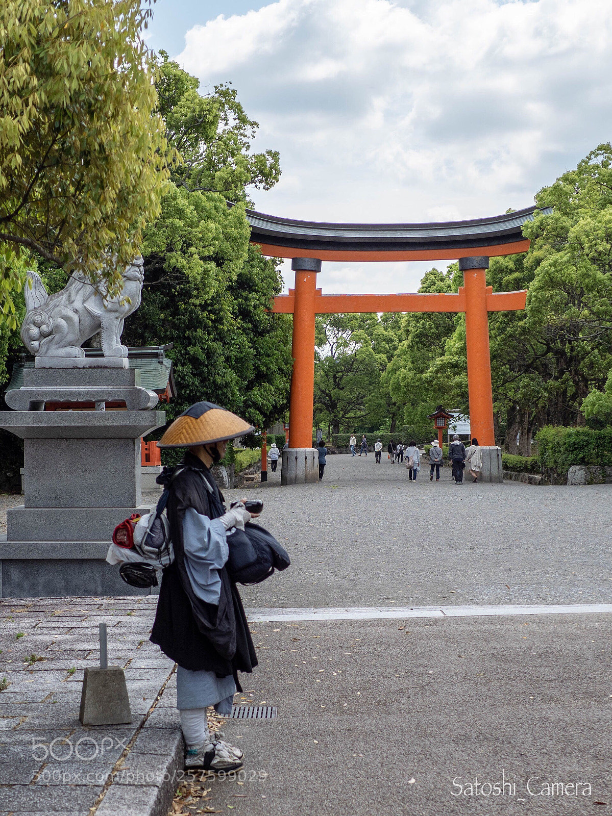 Olympus OM-D E-M1 Mark II sample photo. Untitled photography