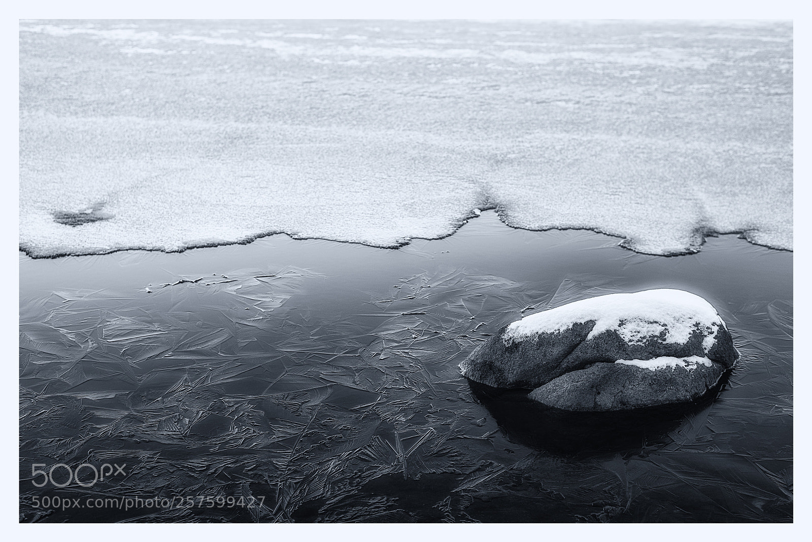 Nikon D750 sample photo. Frozen photography