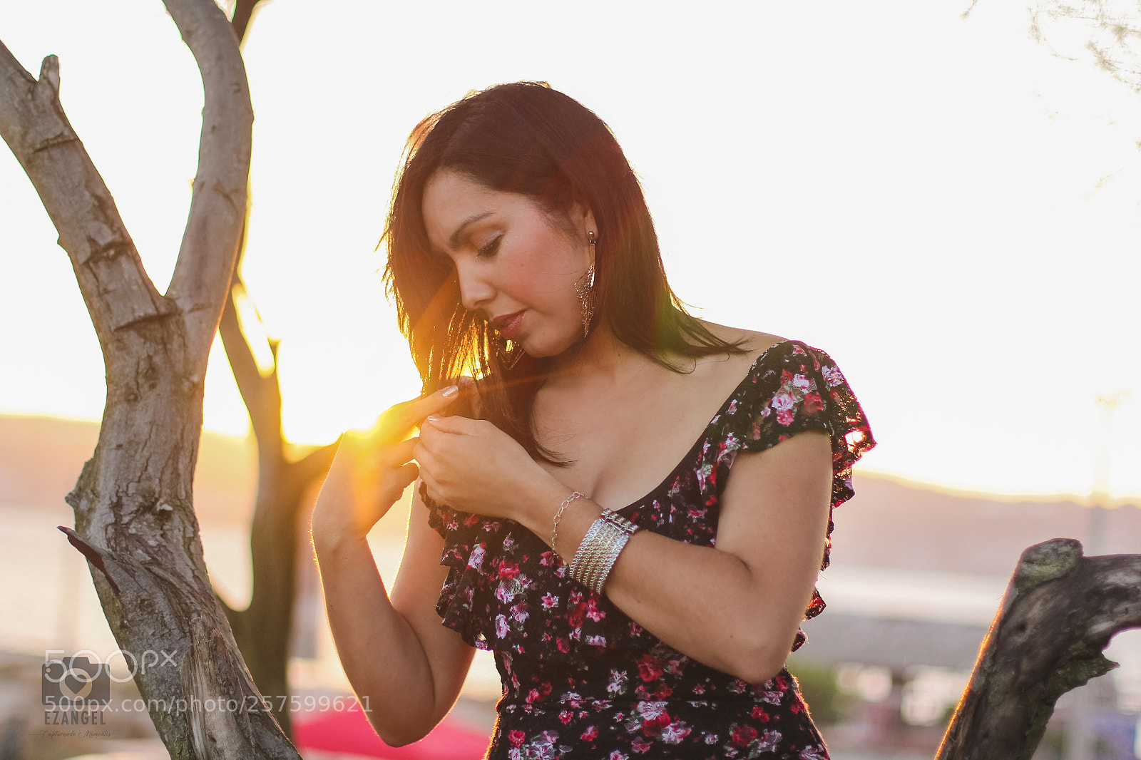 Canon EOS 60D sample photo. Copia photography