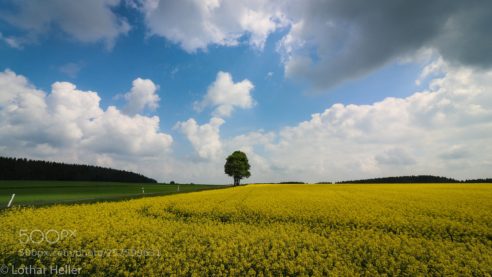 Canon EOS 750D (EOS Rebel T6i / EOS Kiss X8i) sample photo. Germany spring photography