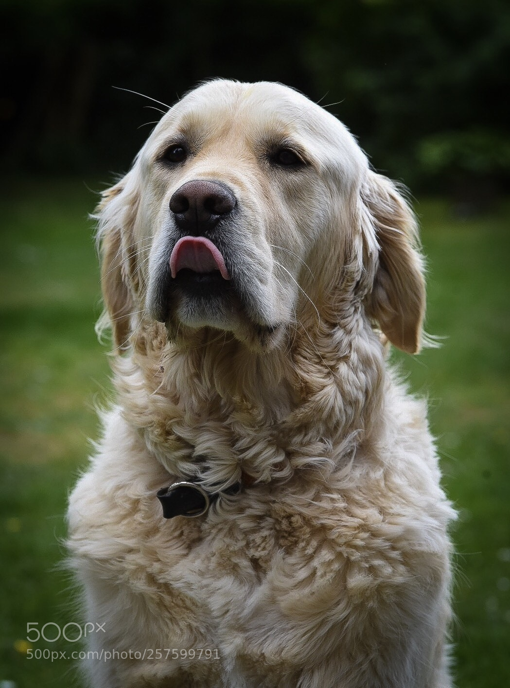 Nikon D750 sample photo. Nox. photography