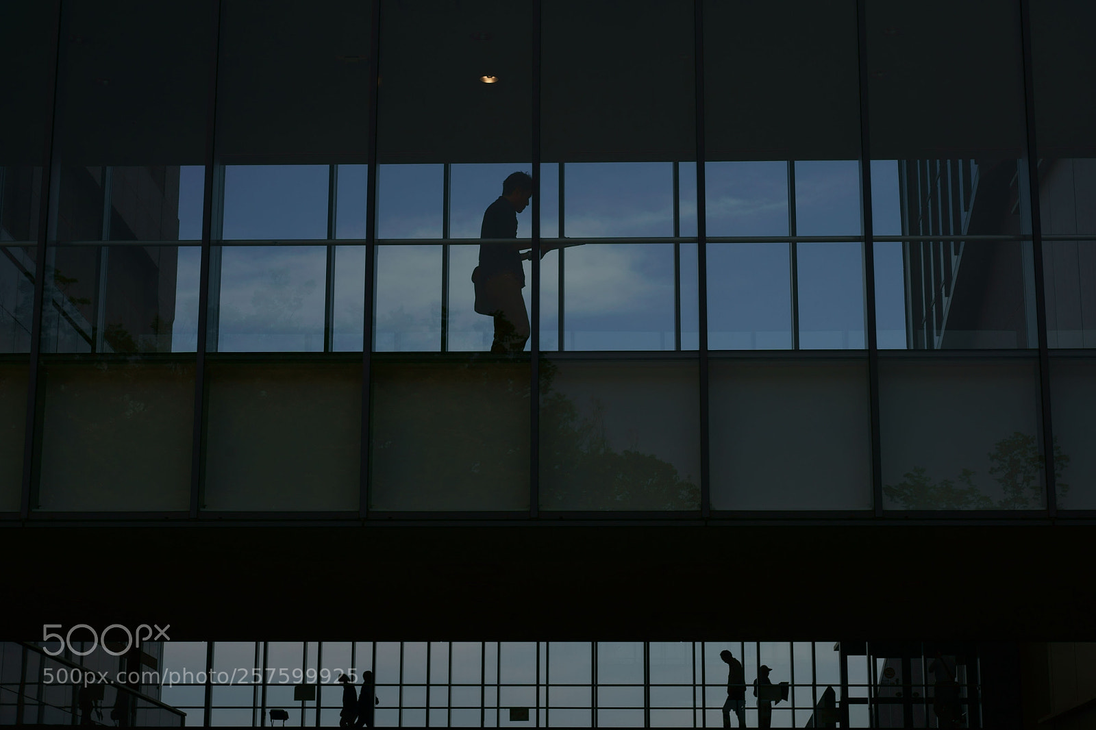 Sony a9 sample photo. Bridge photography