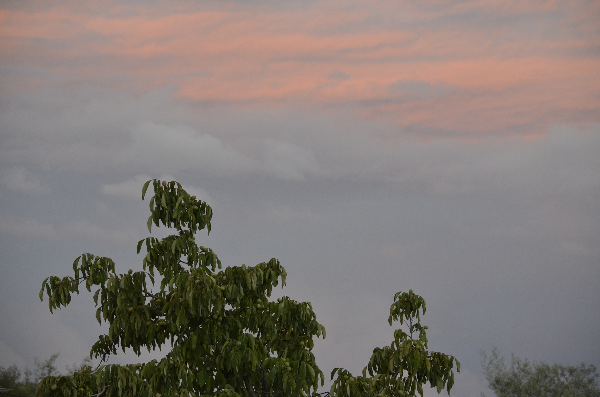 Nikon D5100 sample photo