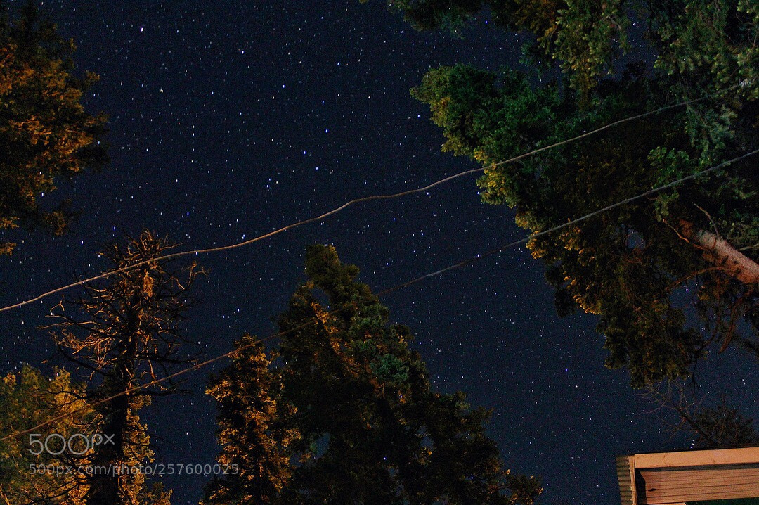 Canon EOS 700D (EOS Rebel T5i / EOS Kiss X7i) sample photo. Starry night  photography