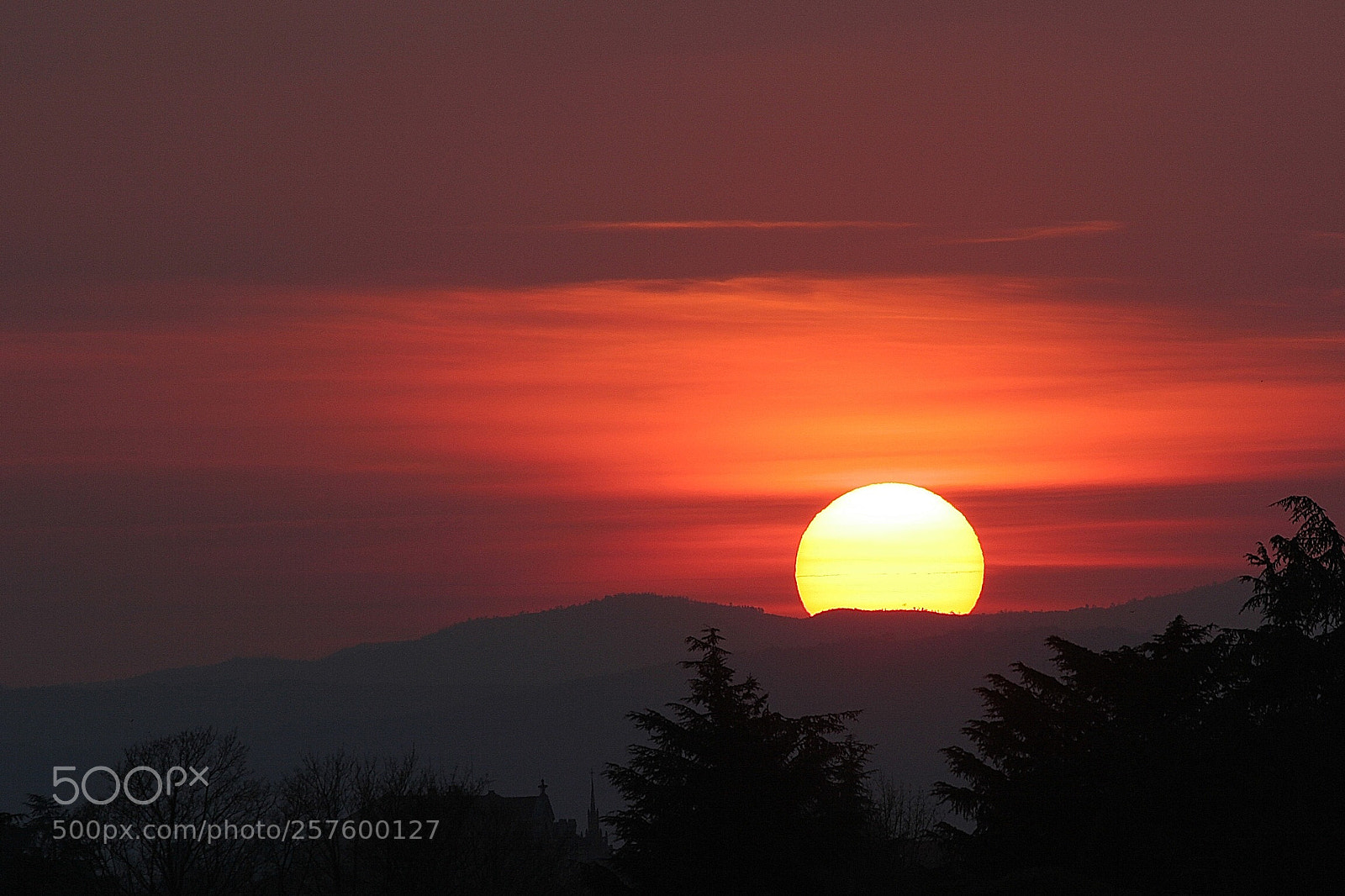Canon EOS 20D sample photo. Untitled photography