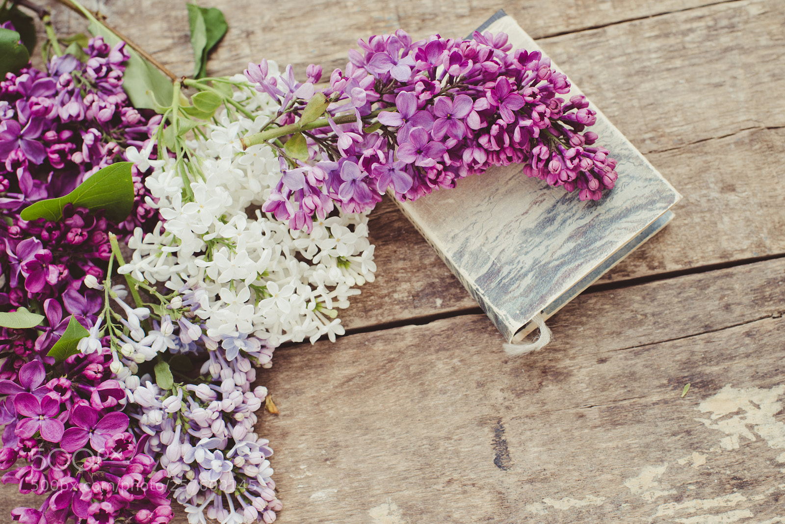 Nikon D800E sample photo. Lilac flowers and book photography