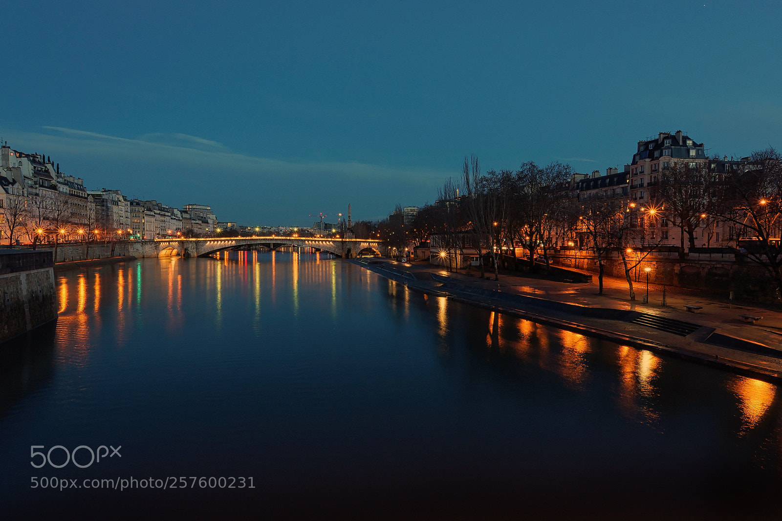 Sony SLT-A65 (SLT-A65V) sample photo. Seine photography